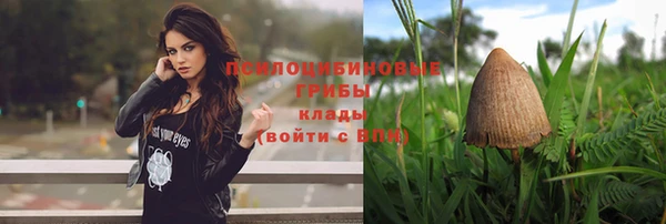 эйфоретик Бронницы