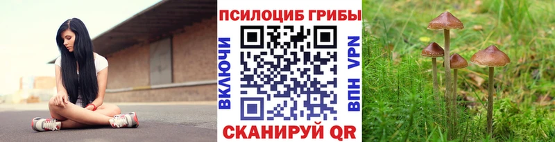 Галлюциногенные грибы MAGIC MUSHROOMS  купить наркотики цена  Выборг 