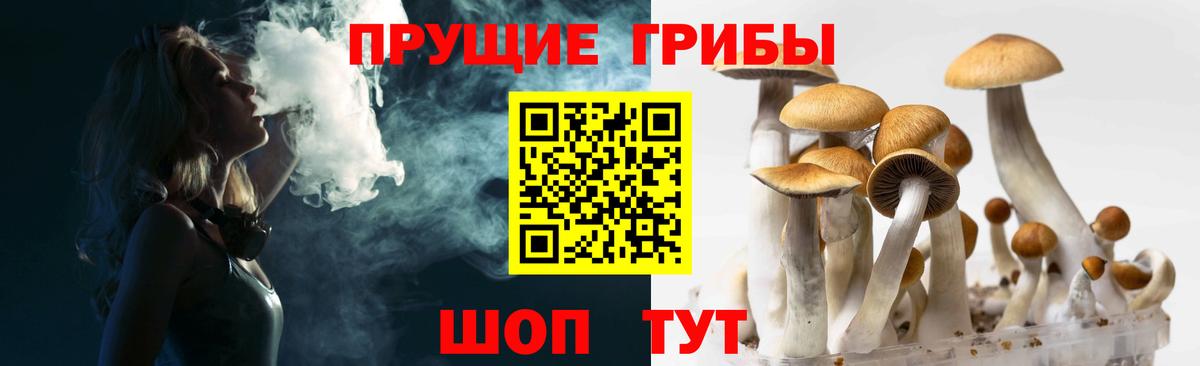 Псилоцибиновые грибы MAGIC MUSHROOMS  Вход с VPN  Выборг 